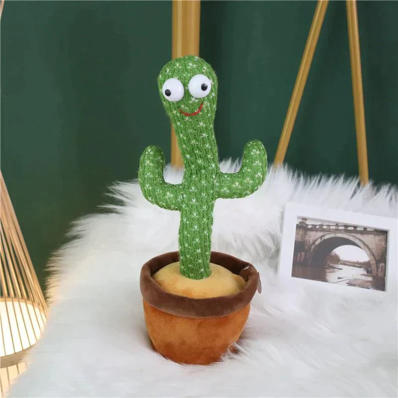 CACTUS MILO BAILARIN + ENVÍO GRATIS